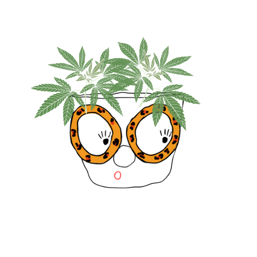 Pot de plante avec lunette leopard