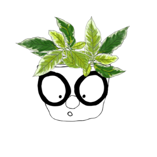 Pot de plante avec lunette noires