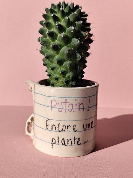 product.pictures.alt